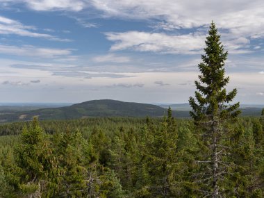 Geniş İsveç ormanı üzerinde bir panorama ve arka planda bir tepe