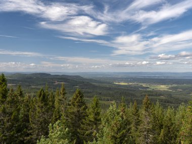 Geniş bir İsveç ormanı ve arka planda bir vadi üzerine panorama