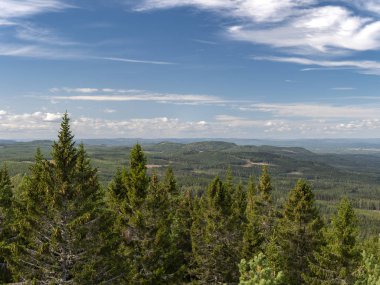 Geniş bir İsveç ormanı ve arka planda bir vadi üzerine panorama
