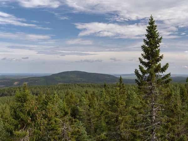 Panorama Över Bred Svensk Skog Och Kulle Bakgrunden — Stockfoto