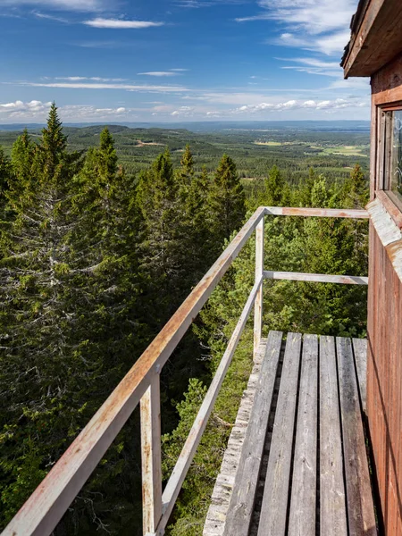 Panoramic View Fire Lookout Tower Forest Stora Orasen Nature Reserve — 스톡 사진