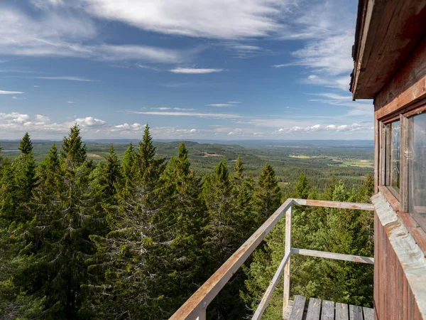 Panoramautsikt Från Eldutsiktstornet Över Skogen Stora Orasen Naturreservat Gavleborg — Stockfoto