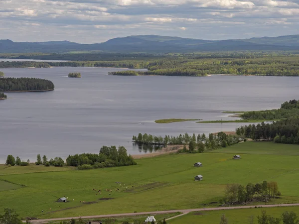 Panoramic View Dellen Lakes Valley Central Sweden Halsingland — Stockfoto