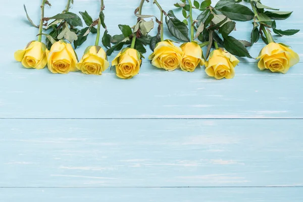 Rose gialle fresche — Foto Stock