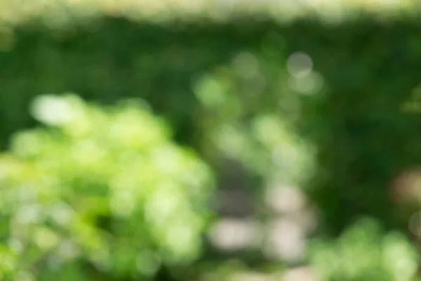  yeşil arka plan bulanıklık