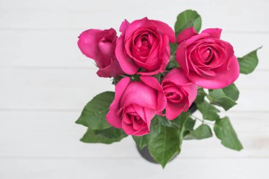 Hite ahşap arka plan üzerinde pembe Gül