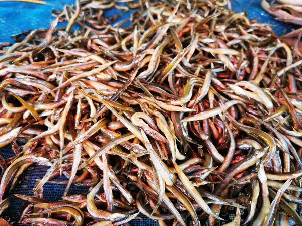 Dried Fish Preparing Sale Thailand Market — Stock Photo, Image