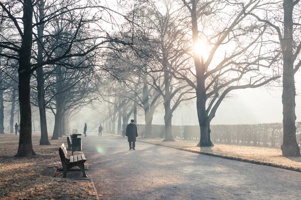 Morning in Munich.