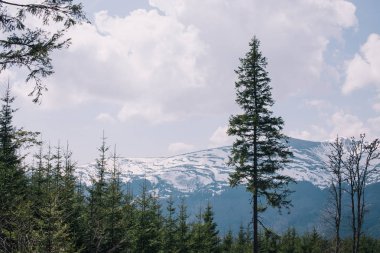 Dağlar Köyü manzara.