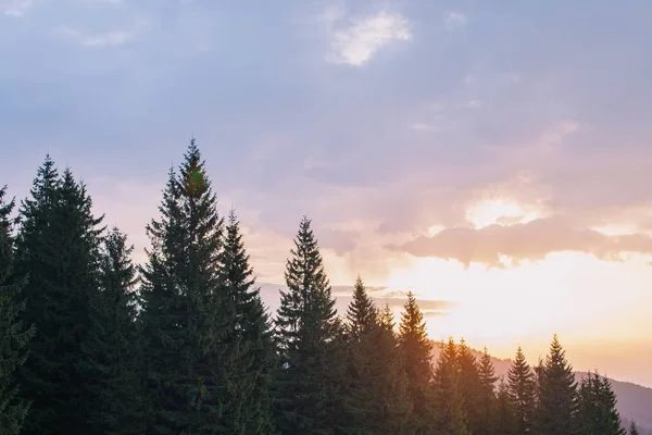 Sunset in mountains. — Stock Photo, Image