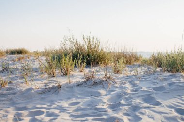 Güneş doğarken doğal deniz plajı.