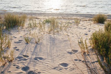 Güneş doğarken doğal deniz plajı.