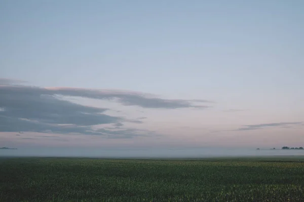 Grüne Wiese am frühen Morgen im Nebel, schöner Himmel in den Wolken. — Stockfoto