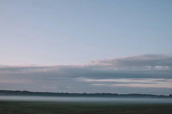 Green field in the early morning in the fog, beautiful sky in the clouds. — Stock Photo, Image