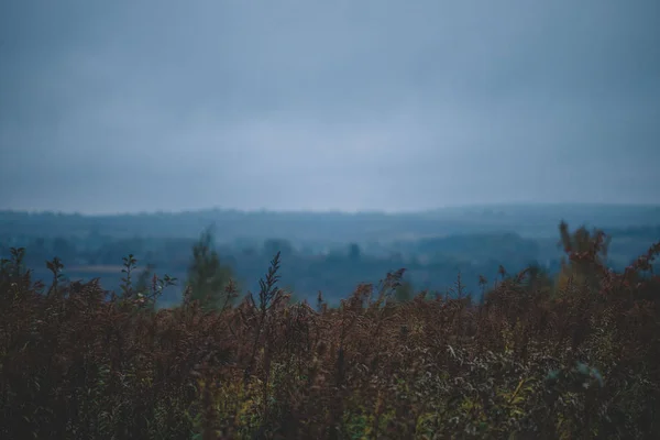 Morgen in grünen Feldern, umhüllt von Nebel und Wolken — Stockfoto
