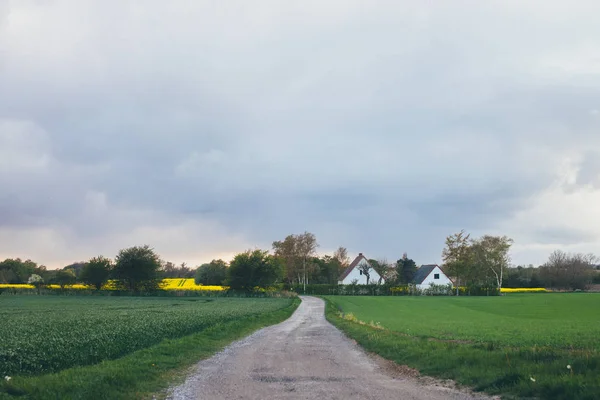 Straße auf dem Land mit Wiesen und Blumen — Stockfoto