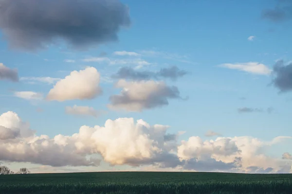 Altın bulutlar yeşil alan — Stok fotoğraf