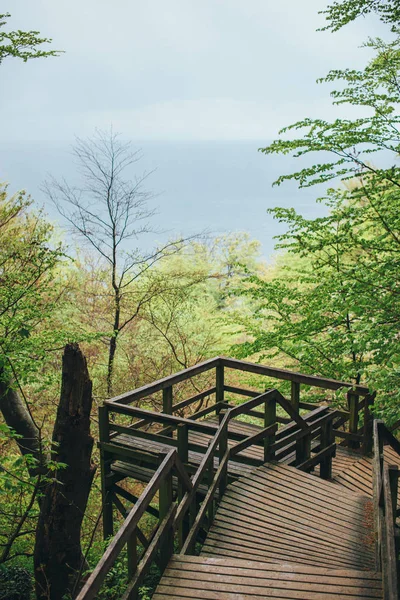 Puente de madera en el bosque que conduce a los acantilados mons klint — Foto de Stock