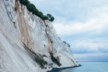 Güneşin doğuşunda denizde ağaçlı bir kaya.