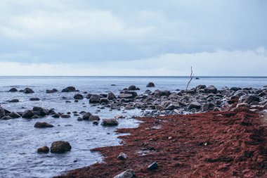 Taşlar ve gök gürültüsü bulutlarıyla deniz kıyısının panoramik görüntüsü