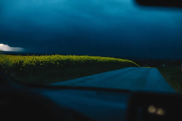 Blick aus dem Autofenster auf Straße und Blumenfeld — Stockfoto