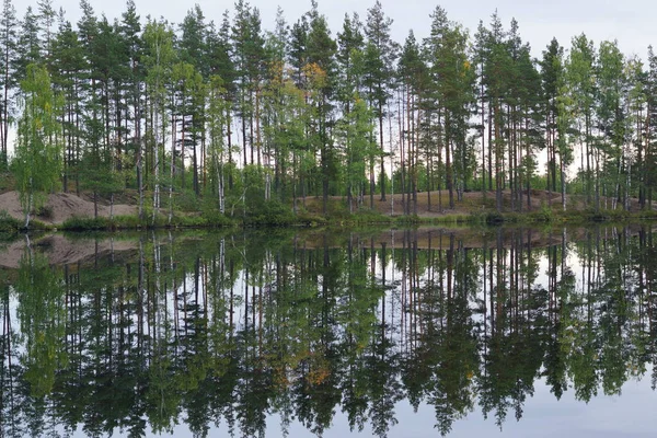 Reflet parfait des arbres dans l'eau de l'autre côté du lac forestier, calme — Photo