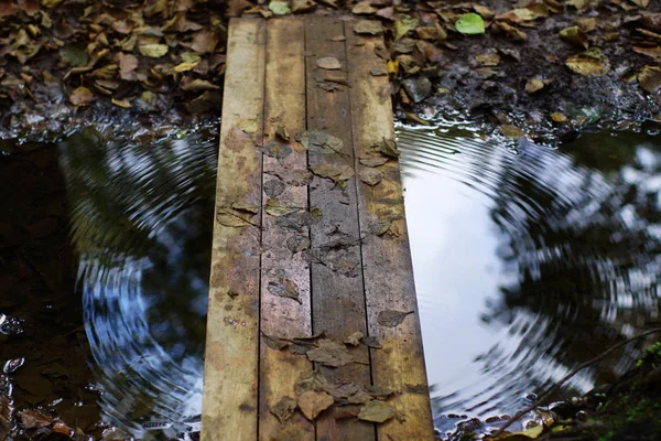 Wooden bridge over stream, circles on water, reflection of autumn trees. — Stock Photo, Image