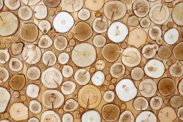 Un mur de scies d'arbres de différentes tailles, un arbre naturel, un fond d'écran — Photo