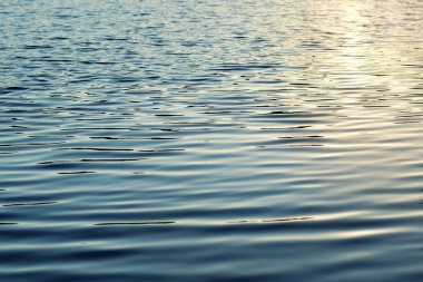 Su yüzeyi, ışıklı güneş, ışık dalgaları ve su ripples