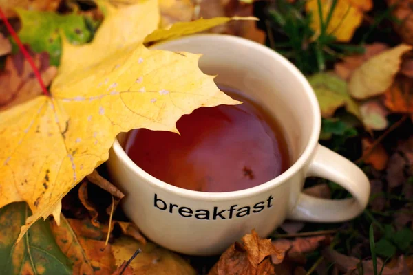 La taza con el té al claro con las hojas amarillas otoñales — Foto de Stock