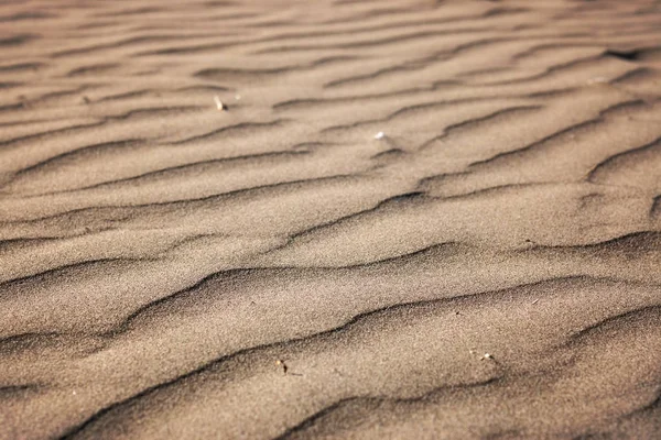 Arena en la playa en forma de olas — Foto de Stock