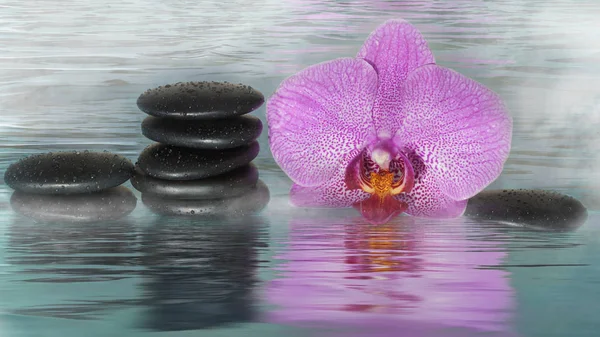 Spa stenen en orchid, bedekt met druppels, in water met mist — Stockfoto