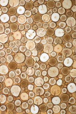 Farklı boyutlarda, doğal bir ağaç, bir dikey duvar kağıdı ağaçlarının testerelerin duvarına