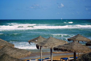 Deniz kum plajındaki plaj şemsiyeleri.