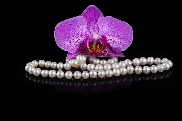 Bloem van een roze orchidee met kralen gemaakt van parels op een zwarte achtergrond. — Stockfoto
