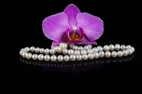 Flor de uma orquídea rosa com contas feitas de pérolas em um fundo preto . — Fotografia de Stock