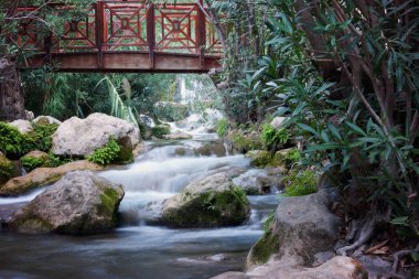 Ahşap köprü Nehri rapids ve şelaleler zakkum çalılıkları içinde yayalar için