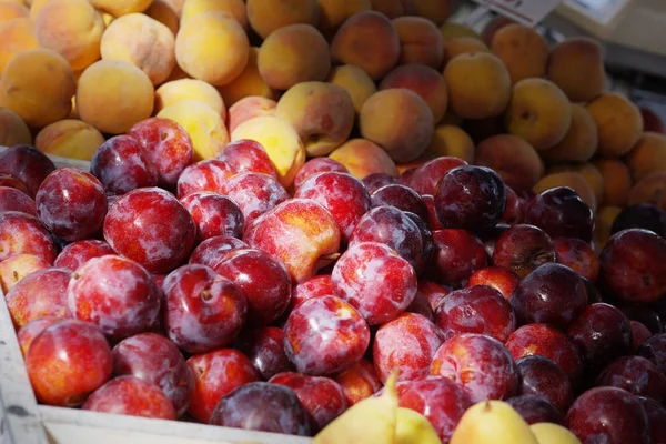 Red plums and peaches on the counter in the market