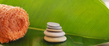 Bir piramit üzerindeki turuncu bir havlu yanındaki yeşil ficus yaprak ile yığılmış taşlar.