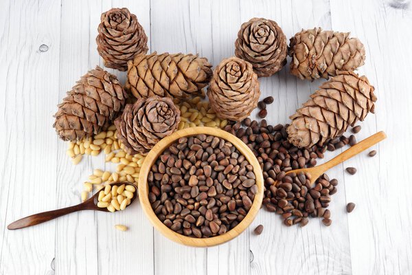 Top view of a set of cedar cones and pine nuts with wooden spoons in a wooden bowl