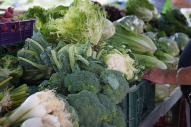 Brokoli, marul ve karnabahar Avrupa'da piyasada satılan