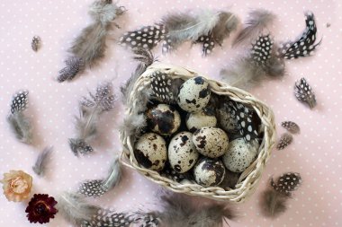 Bir Bıldırcın yumurta bir sepette pembe bir arka plan üzerinde.