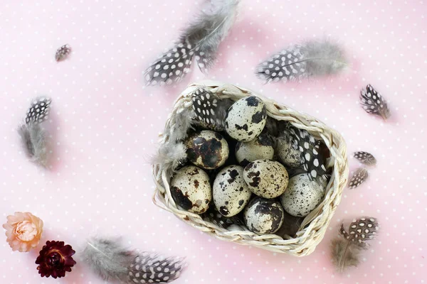 Bıldırcın yumurta tüyler ve çiçekler yanında pembe bir arka plan üzerinde bir sepet içinde.