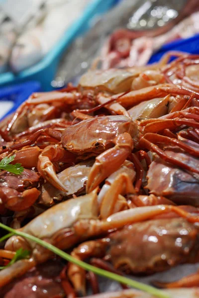 Crabs on the counter in the fish market in Europe — Stock Photo, Image