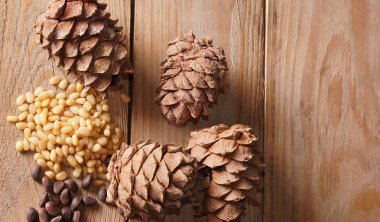 Sedir konisi ve çam fıstığı ahşap bir masada uzanır.