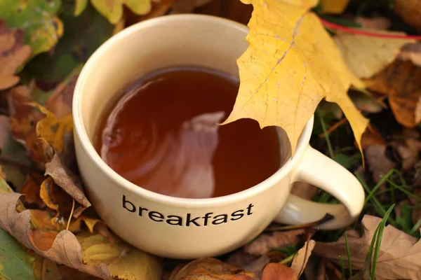 Una taza grande con el desayuno de inscripción y té vertido en el interior está de pie en el suelo con hojas de arce caídas en otoño — Foto de Stock