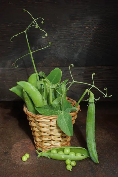 小柳条筐里的花园床上的绿豆豆荚 — 图库照片