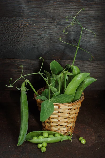 小篮子里的花园床上的绿豆豆荚 — 图库照片