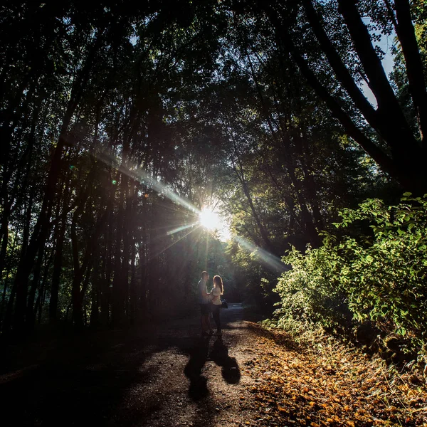 Man en zwangere vrouw wandelen in het park — Stockfoto