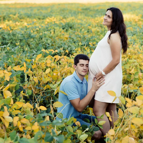 Homem e mulher grávida andando em campo — Fotografia de Stock